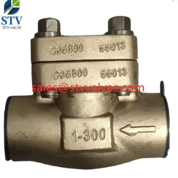 China C95800 Swing Check Valve