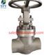 China Class 800LB Gate Valve