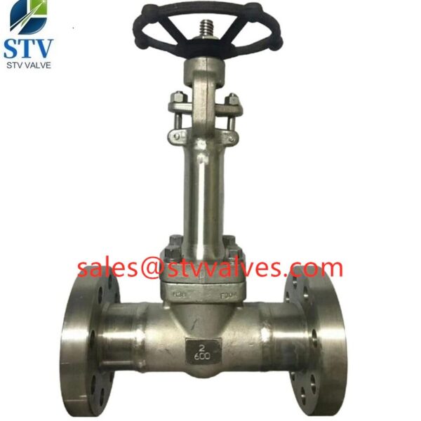 China 600lb Extension Stem Gate Valve