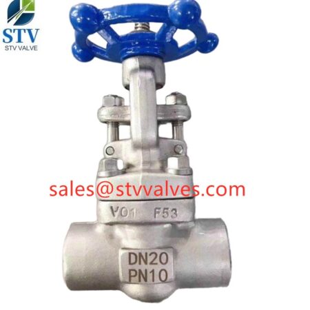 China 800LB F53 Gate Valve