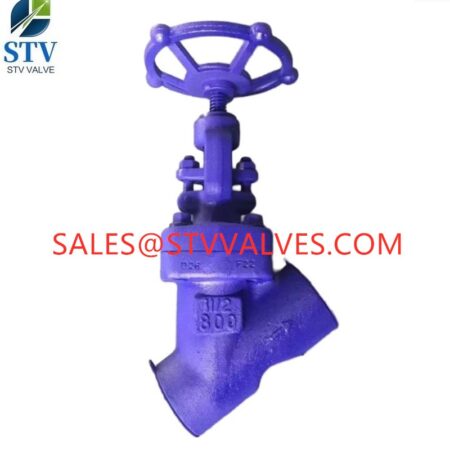 China 800lb Y Type Forged Globe Valve