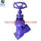 China 800lb Y Type Forged Globe Valve