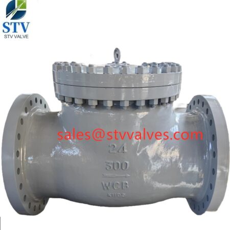 China BS 1868 Swing Check Valve