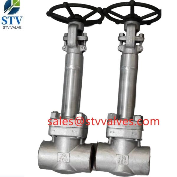 China F316 Extension Stem Gate Valve