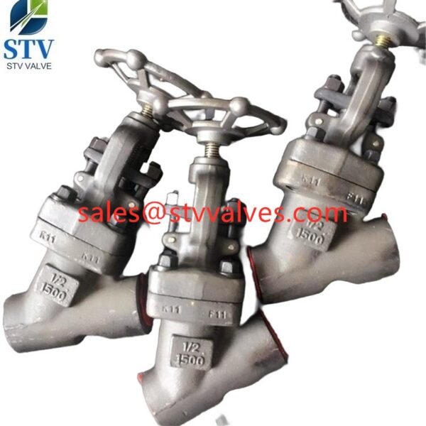 China F11 Y Type Forged Globe Valve