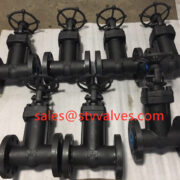 API 602 Bellow Sealed Gate Valve