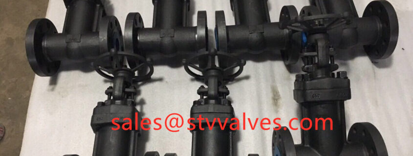 API 602 Bellow Sealed Gate Valve