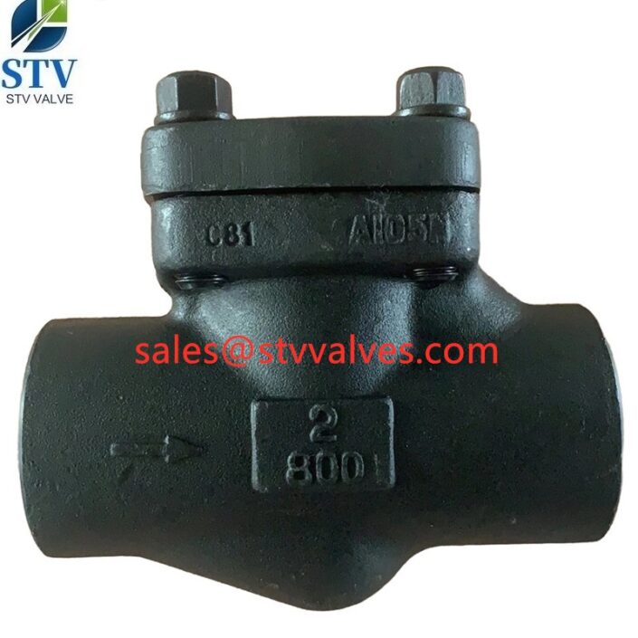 api-602-swing-check-valve-a105n-2-inch-800-lb-sw-end-china-valve