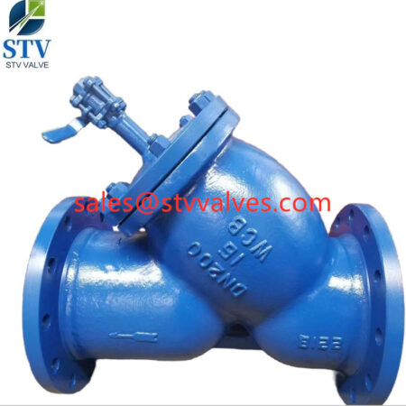 DN 200 Y Type Strainer In China.