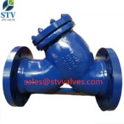 GS-C25 Y Type Strainer