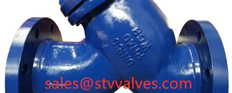 GS-C25 Y Type Strainer