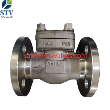 China F304 Swing Check Valve