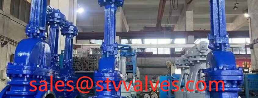 China 150LB A217 C12 Gate Valve Manufacture
