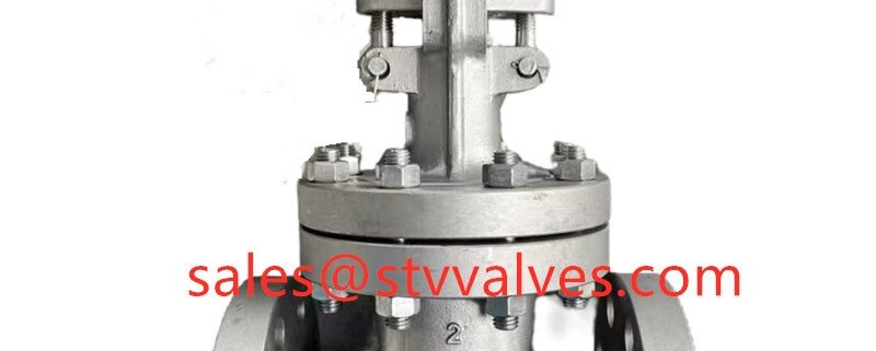 China 300LB CN7M Gate Valve Manufacture