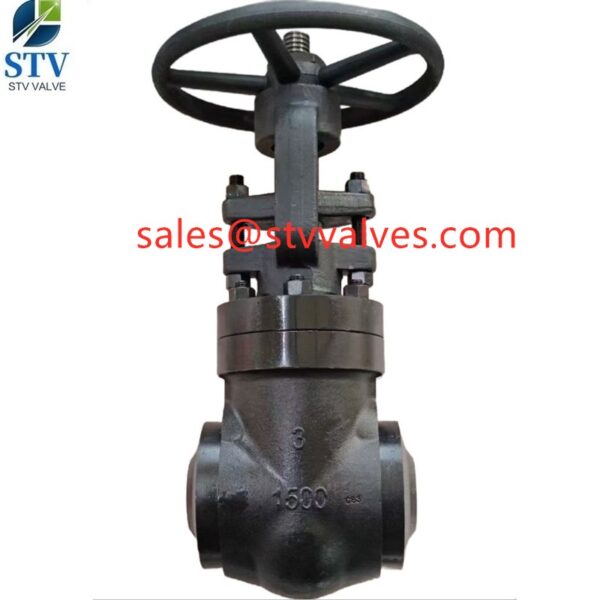 China 3 Inch Gate Valve
