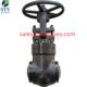 China 3 Inch Gate Valve