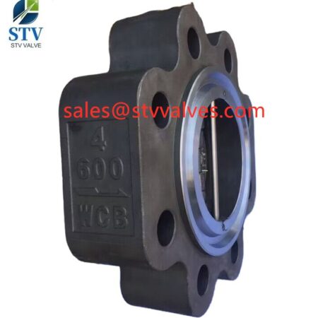 China Lug Type Dual Plate Swing Check Valve,