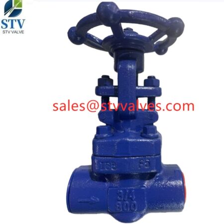 China A182 F5 Forged Gate Valve
