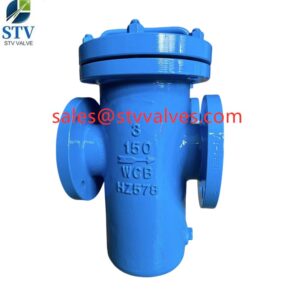 Cast Steel Basket Strainer