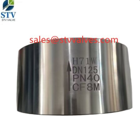 China PN40 Wafer Check Valve