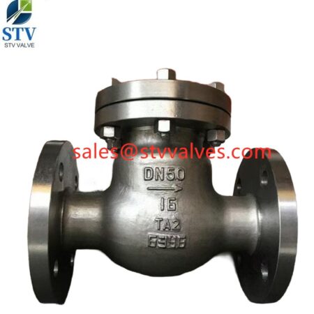 China  TA2 Swing Check Valve
