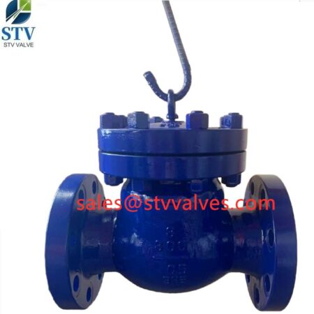 China A217 C5 Swing Check Valve