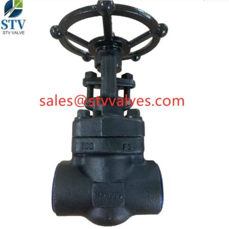 China ASTM A182 F5 Forged Globe Valve