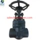 China ASTM A182 F5 Forged Globe Valve