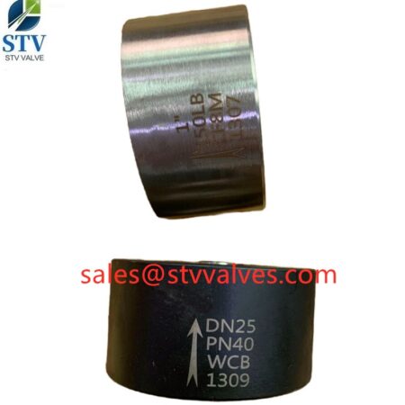 China PN40 Wafer Check Valve