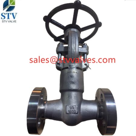 China F316L Flanged Globe Valve