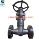 China F316L Flanged Globe Valve