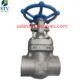 China F347H Gate Valve