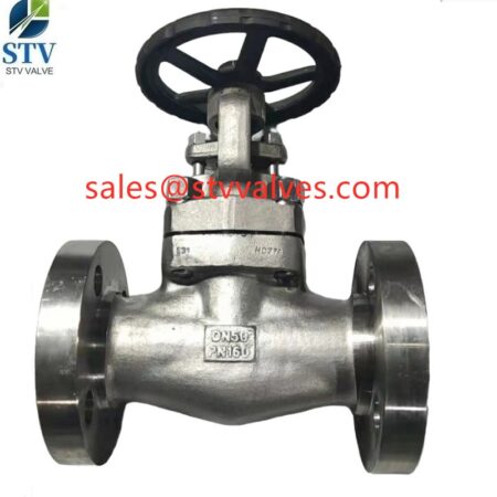 China HC276 Flanged Globe Valve