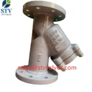 China WCB Y Type Strainer