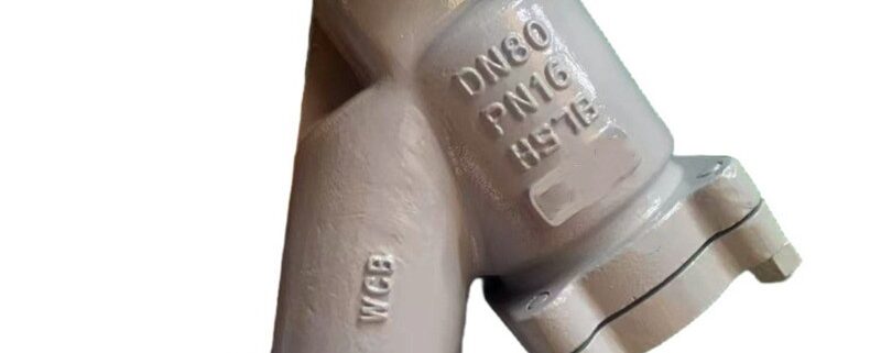 China WCB Y Type Strainer