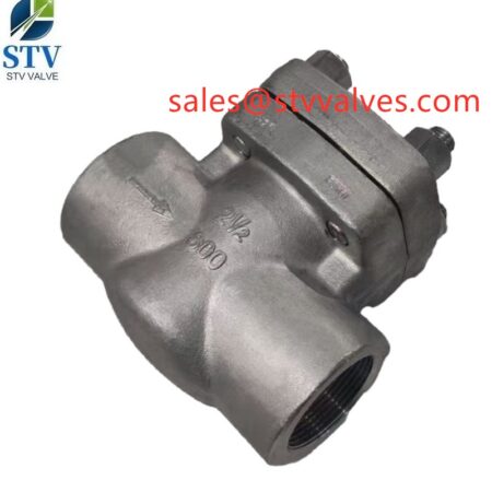 China 21/2 Inch Lift Check Valve Manufacture