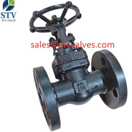 China 300LB Forged Gate Valve