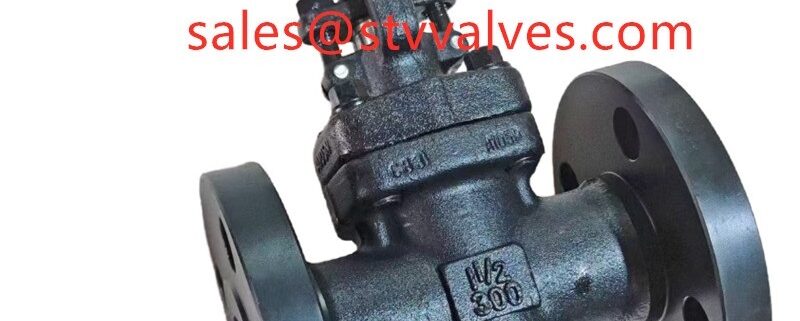 China 300LB Forged Gate Valve