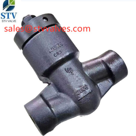 China  API 602 Lift Check Valve Manufacture