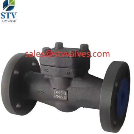 China PN63 Lift Check Valve Manufacture