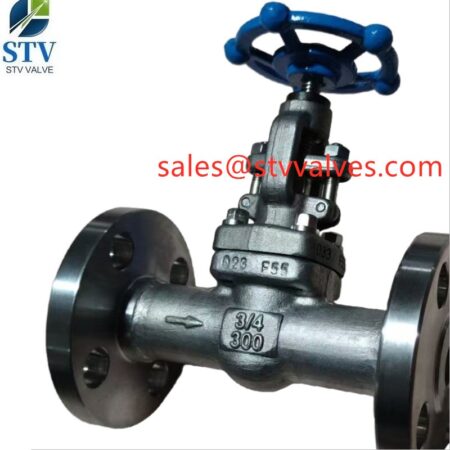 China F51 Forged Gate Valve