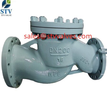 China DIN 3840 lift Check Valve