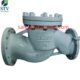 China DIN 3840 lift Check Valve