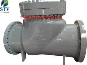 China ANSI 36 Inch cast steel check valve