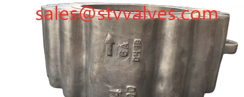 China 6A Dual Plate Lug Type Check Valve