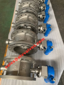 DIN Eccentric Butterfly valve