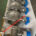 DIN Eccentric Butterfly valve