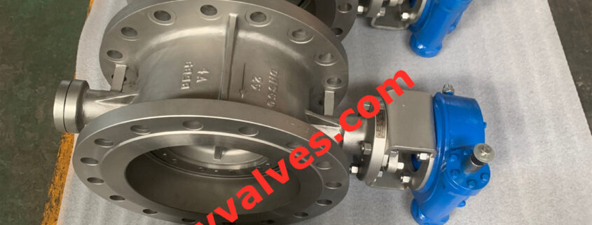 DIN Eccentric Butterfly valve