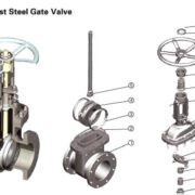 Flexible Wedge Gate Valves