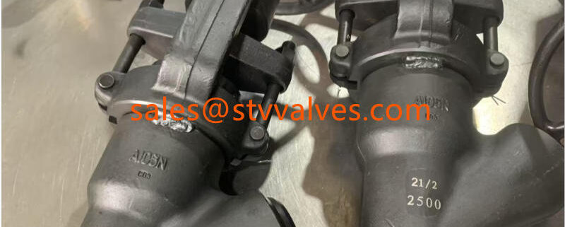 PSB Y Type Globe Valve